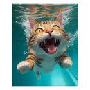 Search for cat swimming posters Cute
