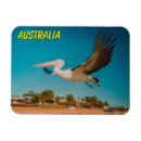 Search for flying photography Wildlife