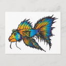 Search for rainbow fish postcards Nature