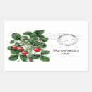 Search for strawberry jam labels Jar