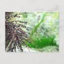 Search for woodland plants postcards Purple