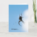 Search for arachnids cards Web