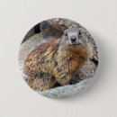 Search for marmot badges Rodent