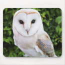 Search for barn owl electronics Wildlife
