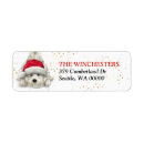 Search for christmas return address labels dog