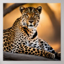 Search for leopard spots posters Safari