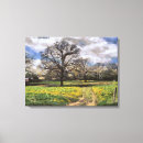 Search for midwest canvas prints Country