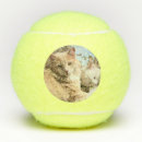 Search for cat tennis balls Feline