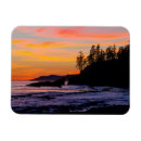 Search for reservation magnets Superstock