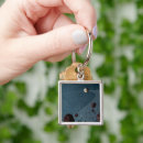 Search for asteroids key rings Asteroid belt
