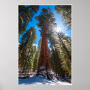 Search for generic winter posters Mountain