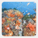 Search for national animal stickers Nature