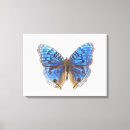 Search for butterfly art Nature