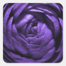 Search for macro flower stickers Floral