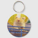 Search for gerbil key rings Animals