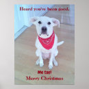 Search for red eared posters Adorable