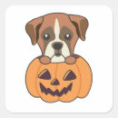 Search for boxer dog stickers Halloween