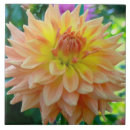 Search for peach color tiles Floral