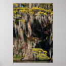Search for flood posters Nature