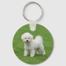 Search for bichon frise key rings White