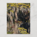 Search for floods postcards Landscape