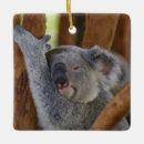 Search for australia koala bear christmas tree decorations Animal