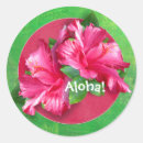 Search for hawaiian stickers Celebration