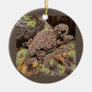 Search for toad christmas tree decorations Lizard