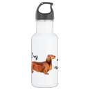 Search for longhair drinkware Doxie