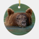 Search for grizzly bear christmas tree decorations Outdoors