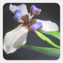 Search for stunning stickers Flower