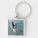 Search for bottlenose dolphin accessories Nature