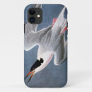 Search for audubon iphone cases Beak