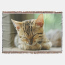 Search for bengal cat gifts Cute