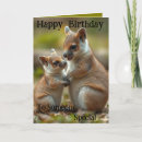 Search for quokka cards Australian