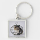Search for tortoiseshell accessories Feline