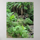 Search for banana tree posters Bananas