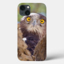 Search for head cases Horizontal