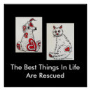 Search for animal rescue posters Pet adoption awareness