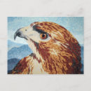 Search for airbrushes postcards Bird