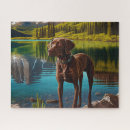 Search for chocolate lab puzzles Cute