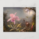 Search for cattleya orchid postcards Pink