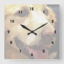 Search for golden retriever clocks Dog lovers