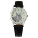 Search for schnauzer watches Puppy