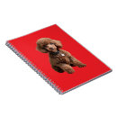 Search for cute fluffy notebooks Red