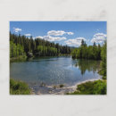 Search for sunny landscape postcards Beautiful