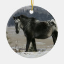 Search for appaloosa horse christmas tree decorations Snow
