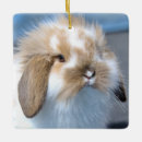 Search for lop rabbit christmas tree decorations Bunnies