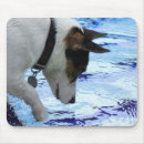 Search for touching mouse mats Outdoors