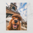 Search for cockerals postcards Dogs